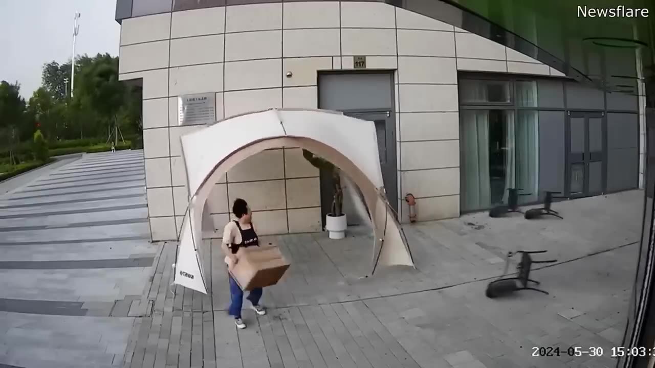 The Best Of The Internet (2024)