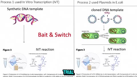 Christine Cotton releases an updated 414 page report alleging on the COVID vaccine.