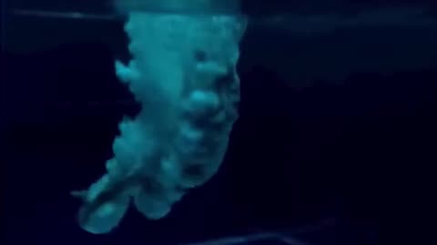 Entertainment, Trending, Viral! 🔥 Top Videos You Have to See to Believe 💯