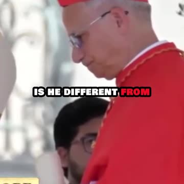 Brother's Insight: Who is Pope Leo XIV?