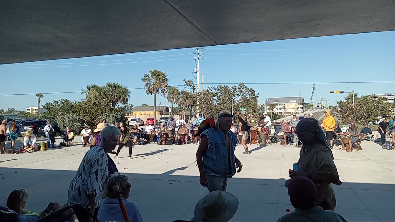 Drum Circle 🥁 Parrot 🦜