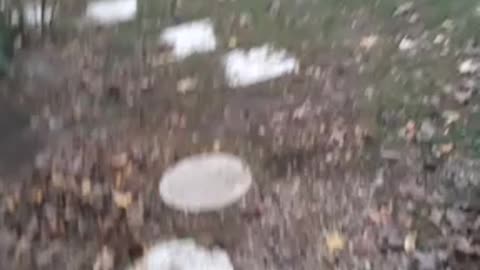 Government is killing people with a Venice syndrome weapons