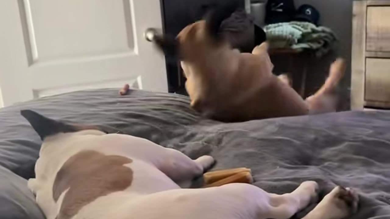 Sissy Goes Overboard the Bed