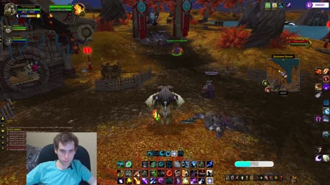 Сова в героике — где мой урон?! 😂