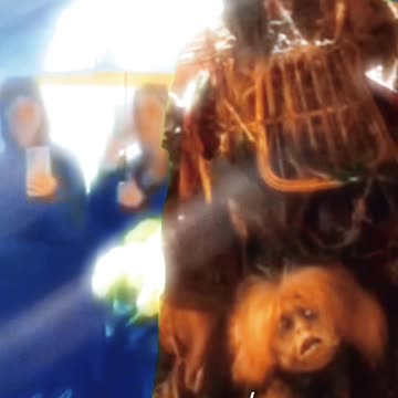 Labyrinth star arrives at the MET GALA 2025