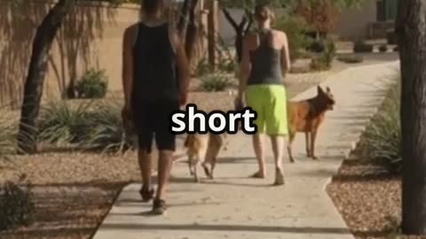 Why Walking Your Dog is a Win
