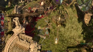 Baldur's Gate 3(Good)-Bird Killing