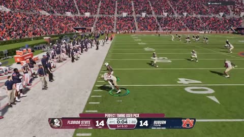 FSU INTERCEPTION VS. AUBURN