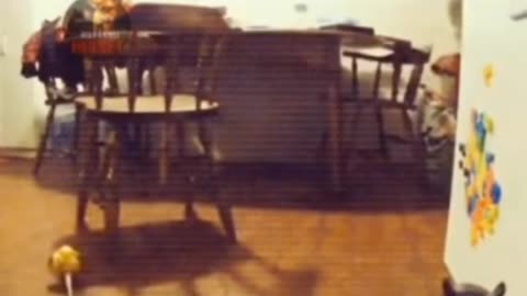 😨👶 Poltergeist Scares Child! Unbelievable Encounter | TheHauntingHour