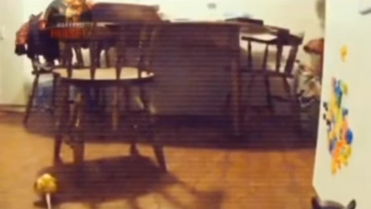 😨👶 Poltergeist Scares Child! Unbelievable Encounter | TheHauntingHour