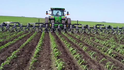 Tractor Cultivates with Swinging Spider and Finger Weeders #farming #equipment #weedcontrol