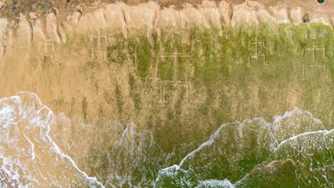 Polar Winter Echoes, Hawaii Petroglyphs, Sunspots July.29.2025 Space Weather News