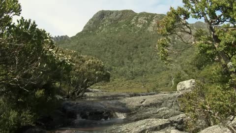 Geheimnisse im Regenwald ｜ Expedition zum ältesten Regenwald der Welt ｜ XL Naturdoku