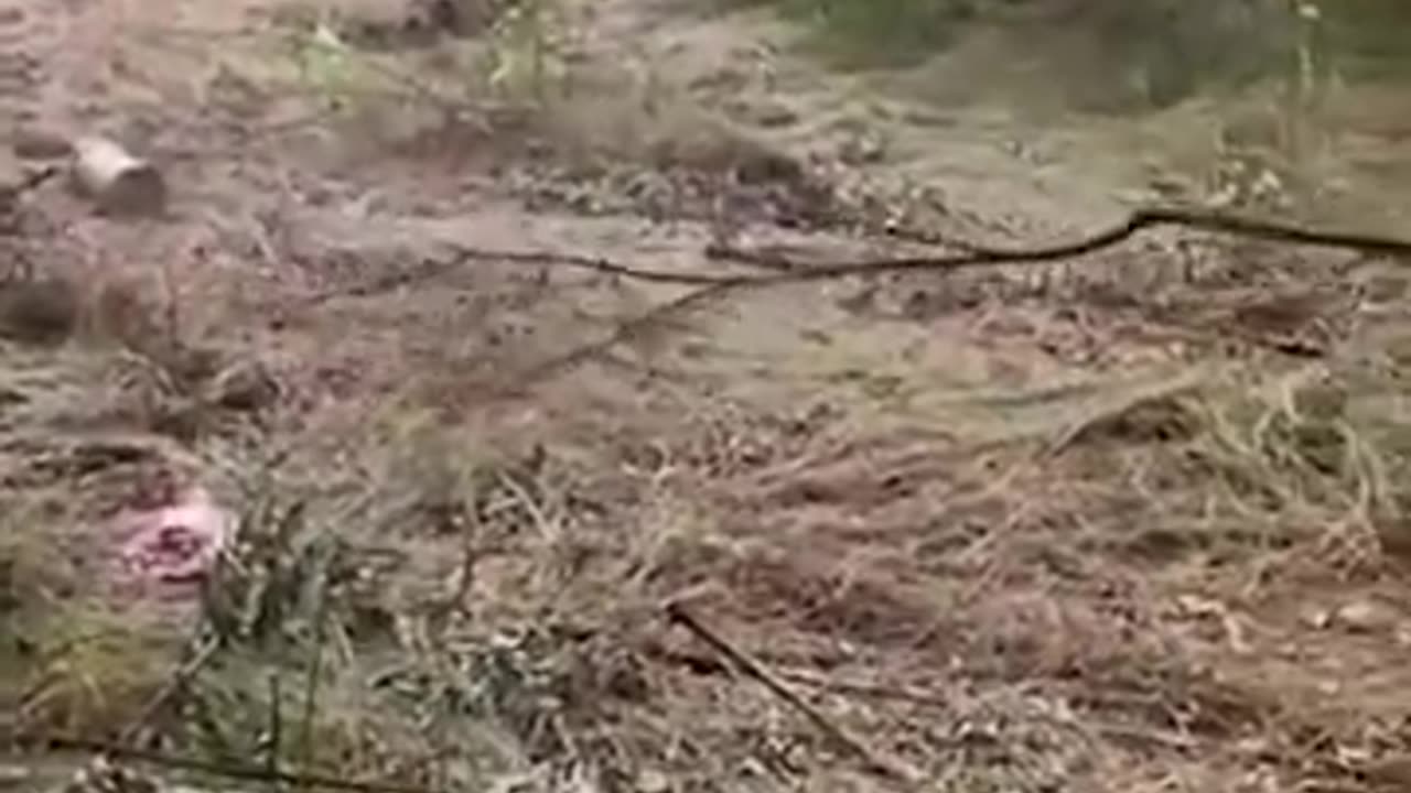 Breaking: Ukrainian soldier detonates mine with a large stick