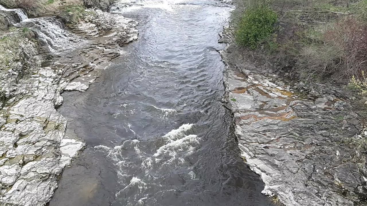 Fergus falls