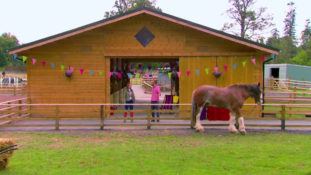 Mi Mascota y Yo - T1E15 - Tortuga