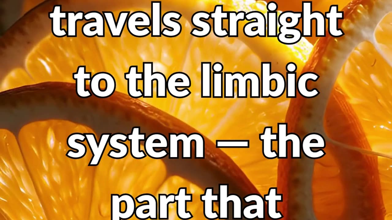 This got me through PTSD walks…