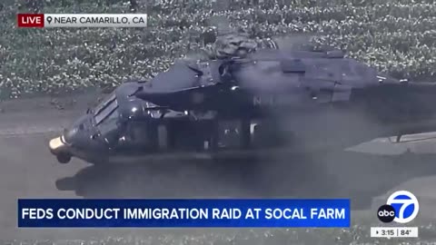 ICE is now using Blackhawks to support the cannabis farm raids