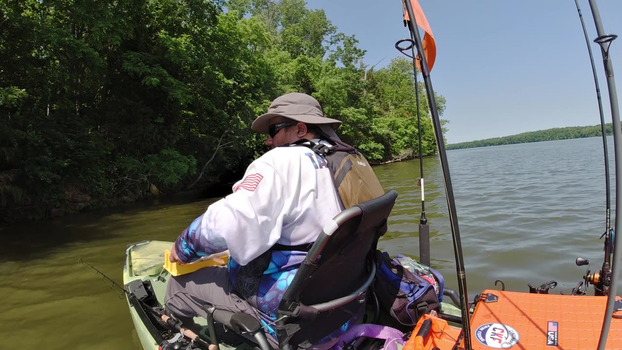17.5" BASS CAST TO CATCH | 2.4 lbs