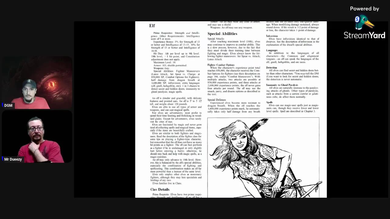 Personaje Primario 5: El Elfo en D&D