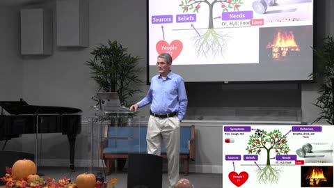 Part II - Beyond the Pill: Exposing the Fallacy of Surface-Level Medicine | Dr. Mark Sandoval