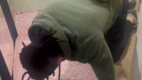 Cat Riding Up Stairs on Owner’s Back