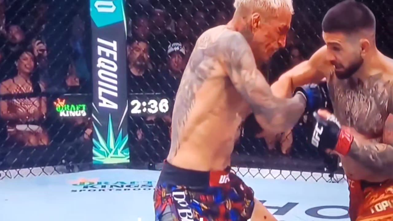 UFC317 knockout Ilia Topouria