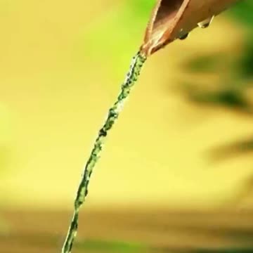 How to become more relaxed | Relaxing Piano Music 🎹