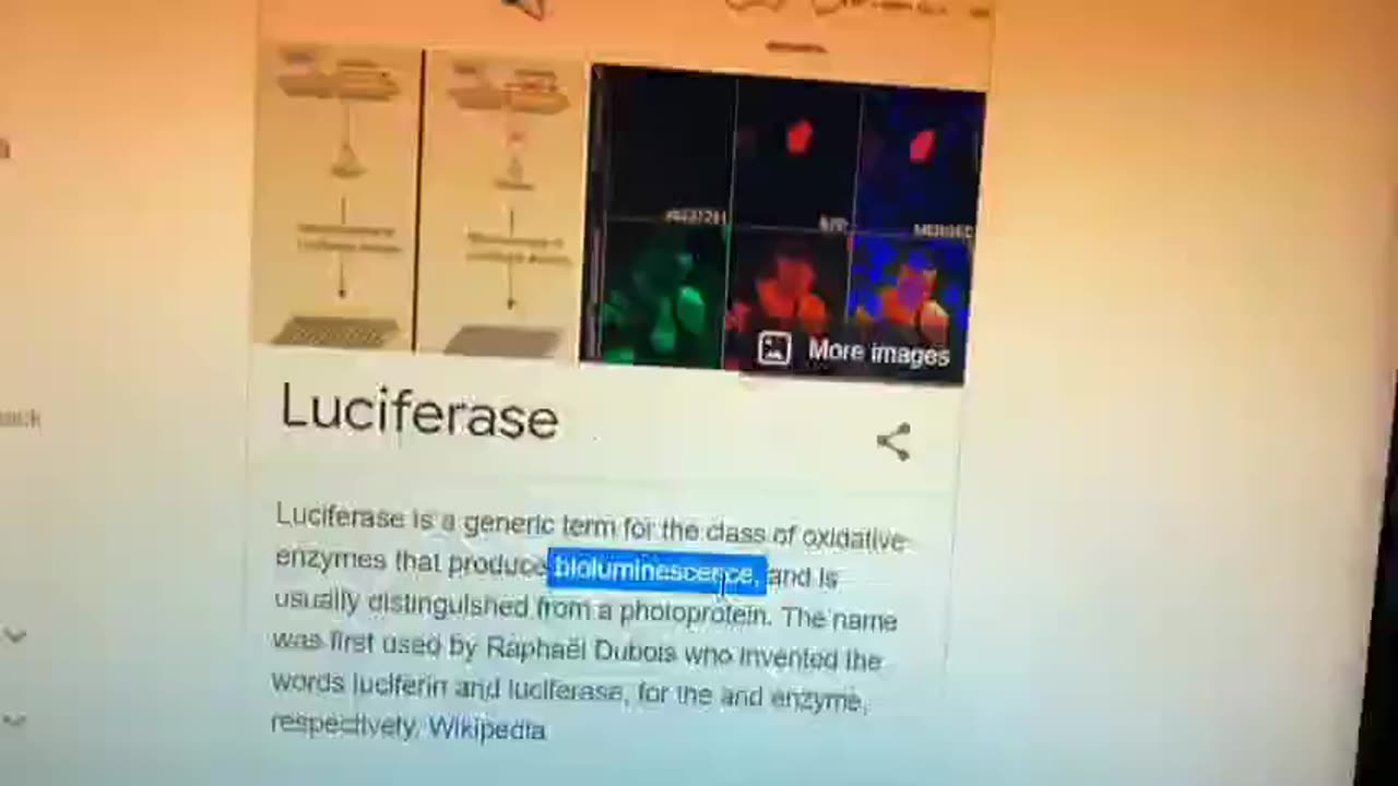 💊Proof of an ingredient called “👿Luciferase”