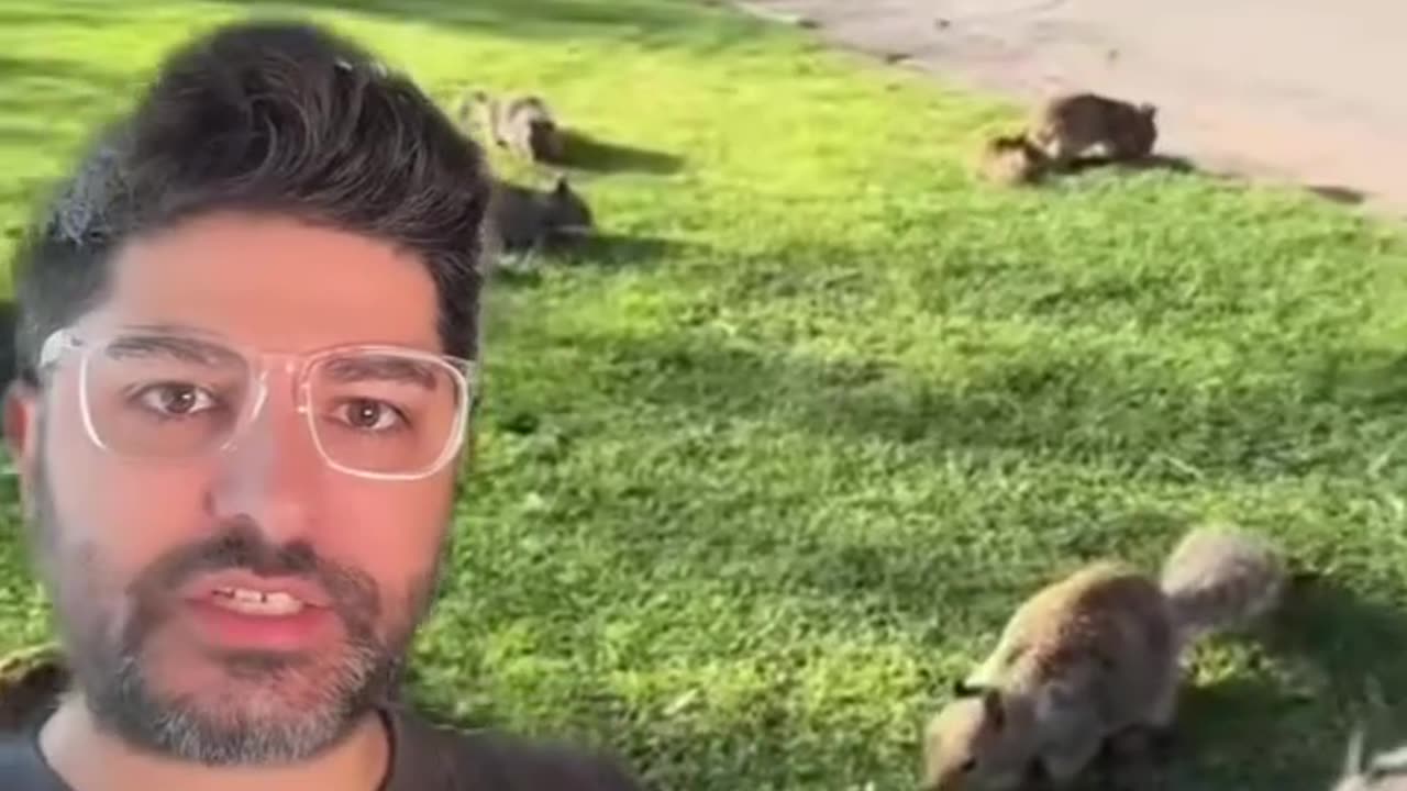 What they did to these squirrels was awful