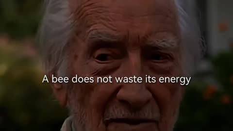 Choose your battles wisely.