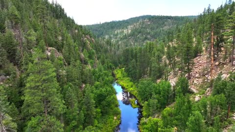 Midnight Coffee – Chill House Lofi