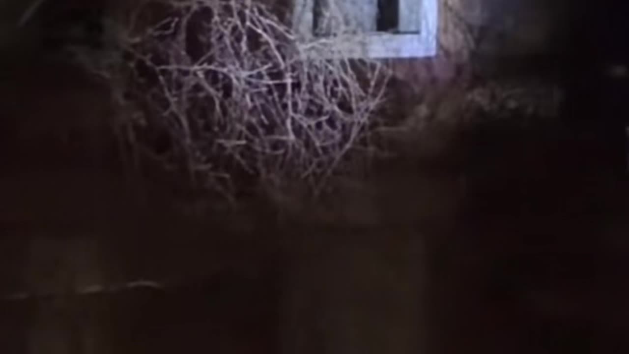 😨👻 #horrorvideos #paranormalactivity #scary #scared #demon #jumpscare #p... | TheHauntingHour