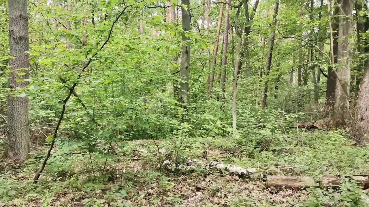 niezbyt często ...