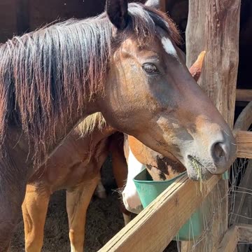We don't want to eat. We want to Play!