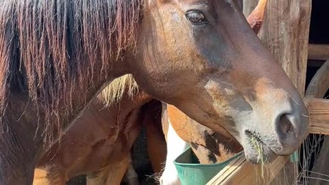 We don't want to eat. We want to Play!