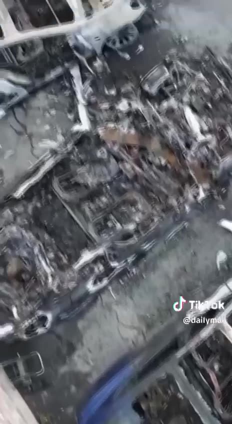 Pam Bondi just said that the one responsible for destroying Teslas will get 20 years in prison!