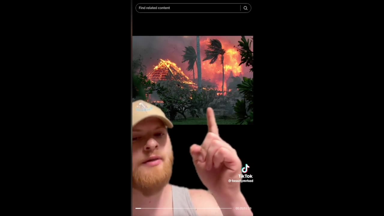 Did Ally Carter Predict the Hollywood Fires and Diddy's Arrest