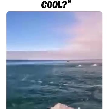 Bro got the the free trial of Life Premium