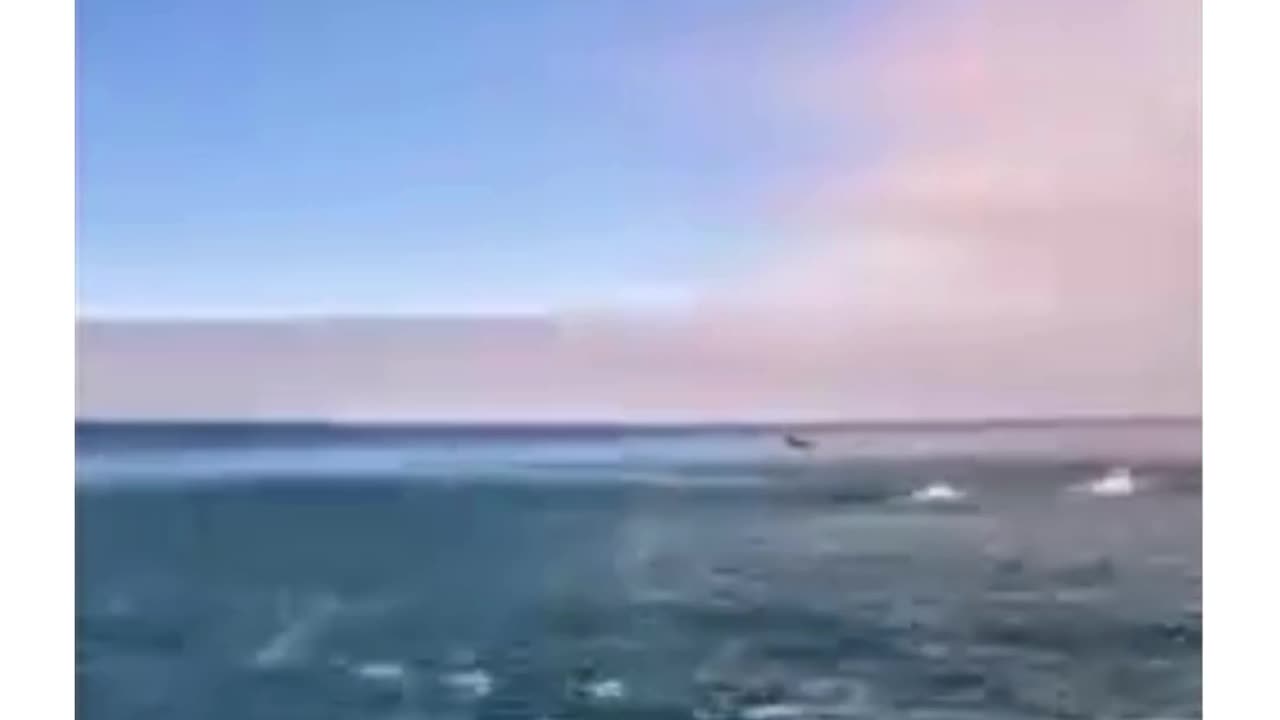 Bro got the the free trial of Life Premium