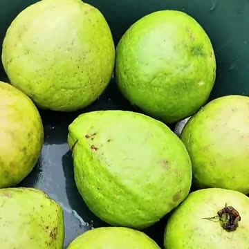 Village market day in Ouidah Bénin West Africa