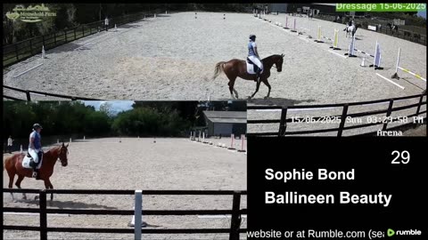 Mousehold Farm All Weather Riding arena