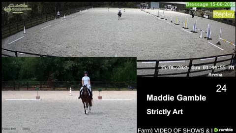 Mousehold Farm All Weather Riding arena