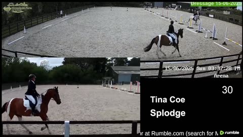 Mousehold Farm All Weather Riding arena