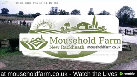 Mousehold Farm All Weather Riding arena
