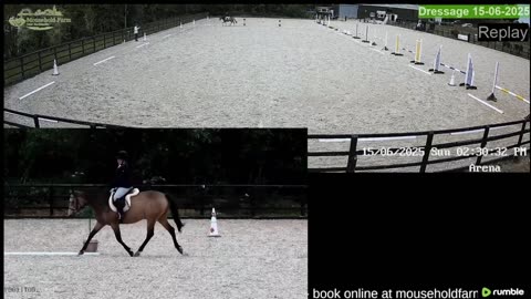Mousehold Farm All Weather Riding arena