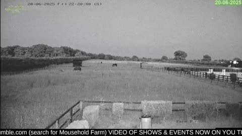 Mousehold Farm All Weather Riding arena
