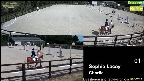 Mousehold Farm All Weather Riding arena