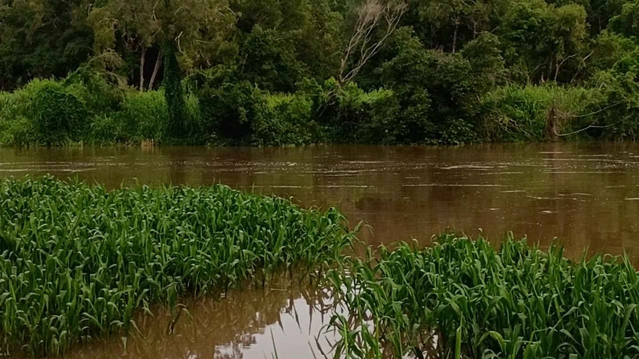 13.2.2025 The Barron River, Kuranda
