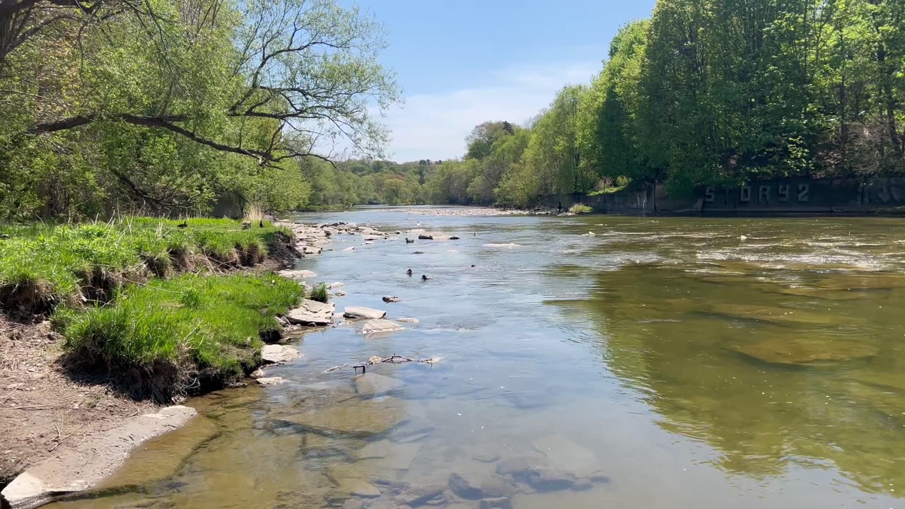 May 12th James Gardens visit compilation